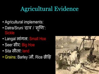 Agricultural Evidence
• Agricultural implements:
• Datra/Sruni ‘दात्र’ / ‘सृणि’:
Sickle
• Langal लाांगल: Small Hoe
• Seer सीर: Big Hoe
• Sita सीता: land
• Grains: Barley जौ, Rice व्रीहि
 