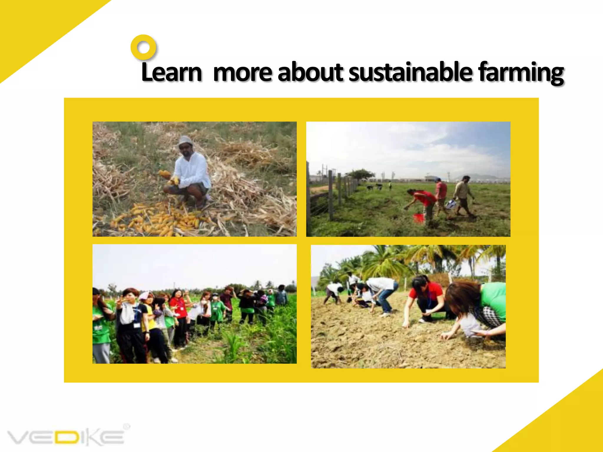 Learn more about sustainable farming