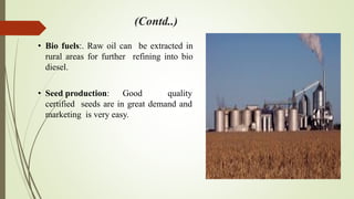 Prospects and challenges of rural entrepreneurship in india | PDF