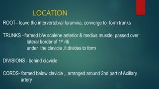 LOCATION
ROOT– leave the intervertebral foramina, converge to form trunks
TRUNKS –formed b/w scalene anterior & medius muscle, passed over
lateral border of 1st rib
under the clavicle ,it divides to form
DIVISIONS - behind clavicle
CORDS- formed below clavicle ,, arranged around 2nd part of Axillary
artery
 