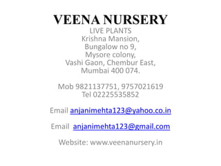 VEENA NURSERY
LIVE PLANTS
Krishna Mansion,
Bungalow no 9,
Mysore colony,
Vashi Gaon, Chembur East,
Mumbai 400 074.
Mob 9821137751, 9757021619
Tel 02225535852
Email anjanimehta123@yahoo.co.in
Email anjanimehta123@gmail.com
Website: www.veenanursery.in
 