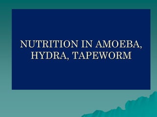 NUTRITION IN AMOEBA, 
HYDRA, TAPEWORM 
 