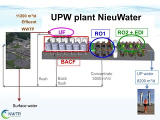 UPW plant NieuWater

11200 m3/d
Effluent
WWTP

UF

RO1

RO2 + EDI

BACF
flush

Surface water

Back
flush

Concentrate
3000 m3/d

UP water
8200 m3/d

 