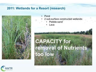 2011: Wetlands for a Resort (research)
• Pond
• 2 sub-surface constructed wetlands:
• Pebble-sand
• Lava

CAPACITY for
removal of Nutrients
too low

 