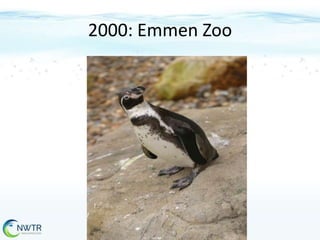 2000: Emmen Zoo

 