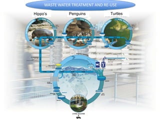 WASTE WATER TREATMENT AND RE-USE
Hippo’s

Penguins

Turtles

 