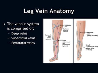 Leg Vein Anatomy
• The venous system
is comprised of:
– Deep veins
– Superficial veins
– Perforator veins
VN20-03-B 10/04
 
