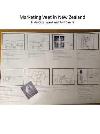 Marketing Veet in New Zealand
    Frida Ottersgård and Karl Daehli
 