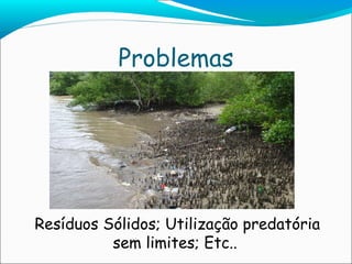 Problemas Resíduos Sólidos; Utilização predatória sem limites; Etc..  