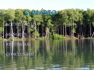 SUMÁRIO LOCALIZAÇÃO; MANGUES; RESTINGAS; CONCLUSÃO. 