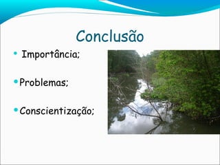 Conclusão Importância; Problemas; Conscientização;  