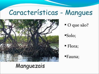 Características - Mangues Manguezais O que são? Solo; Flora; Fauna; 