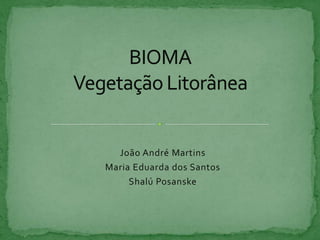 BIOMAVegetação Litorânea João André Martins Maria Eduarda dos Santos Shalú Posanske 