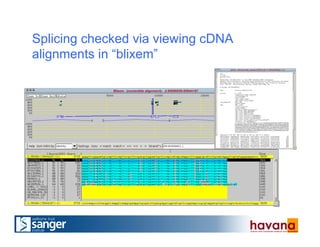 Splicing checked via viewing cDNA
alignments in “blixem”
 
