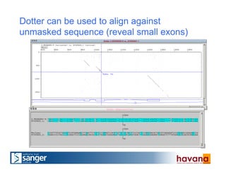Dotter can be used to align against
unmasked sequence (reveal small exons)
 