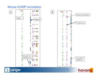 Dnhd1
Ensembl 64
prediction
Repeats
Knock out construct
Critical exon
Ensembl 64
prediction
A	
   B	
  
Mouse KOMP annotation
 