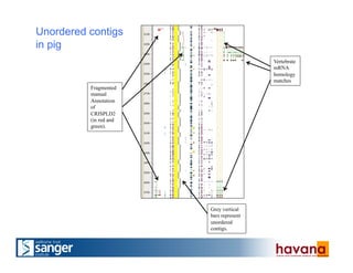 Unordered contigs
in pig
Fragmented
manual
Annotation
of
CRISPLD2
(in red and
green).
Grey vertical
bars represent
unordered
contigs.
Vertebrate
mRNA
homology
matches
 