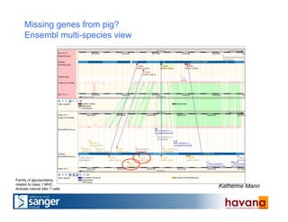 Missing genes from pig?
Ensembl multi-species view
Family of glycoproteins,
related to class 1 MHC.
Activate natural kller T cells
Katherine Mann
 