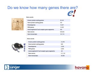 Do we know how many genes there are?
 