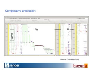 Comparative annotation:SEPT6
Pig Human Mouse
Denise Carvalho-Silva
 