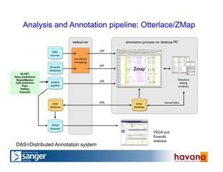 DAS=Distributed Annotation system
Analysis and Annotation pipeline: Otterlace/ZMap
BLAST
Gene predictions
RepeatMasker
CpG prediction
Pfam
RefSeq
Ensembl
 