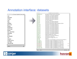 Annotation interface: datasets
 