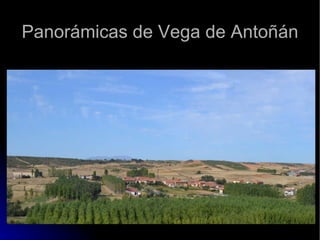 Panorámicas de Vega de Antoñán 