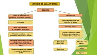 SINDROME DE GUILLIAN BARRE
CLINICA
Paresia de inicio distal y
progresión ascendente simétrica.
Arreflexia
Dolor : Paravertebral,
artromialgias, axial.(80%)
Síntomas sensitivos poco
manifiestos: Parestesias distales
Desmayos
Apneas
Dificultad
respiratoria
Babeo
Dificultad para
deglutir
Contracciones musculares
Síntomas de emergencia en
donde se debe pensar en:
Torpeza y caídas
Dificultad para mover los
músculos de la cara
Visión borrosa
Manifestaciones disautonómicas:
Hipotensión , arritmias,
taquicardias, retención urinaria.
(60%)
Compromiso de pares craneales
no afecta los oculomotores
(50%).
 