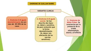 SINDROME DE GUILLIAN BARRE
VARIANTES CLINICAS
1.-Síndrome G-B agudo
desmielinizante (lo son
más del 85-90% de los
casos
2.-Síndrome G-B agudo
axonal. Se han
descrito dos tipos:
A).-Motor y sensitivo,
de peor evolución que
la forma
desmielinizante.
B).-Motor (sin
afectación de los
nervios
sensitivos).
3.- Síndrome de
Miller-Fisher. Se
caracteriza por la
presencia de la
triada
oftalmoplejía,
ataxia y arreflexia
 