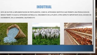 INDUTRIAL 
ESTA SE DA POR LA IMPLEMENTACION DE FERTILIZANTES, COMO EL NITROGENO SINTETICO QUE PERMITE UNA PRODUCCION EN 
MENOS TIEMPO YA QUE EL NITROGENO ESTIMULA EL CRECIMIENTO EN LA PLANTA; OTRO ASPECTO IMPORTANTE ES EL EXCESO DE 
EXCREMENTE, EN LA GANADERIA, GALPONES ETC 
 