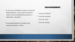 • EL CICLO DEL NITRÓGENO ES UNO DE LOS CICLOS 
BIOGEOQUÍMICOS, LOS CUALES EN CONJUNTO 
CONSTITUYEN UN SISTEMA REGULADOR DE LA 
HIDROSFERA Y BIOSFERA 
• ES CON REGULARIDAD EL NUTRIENTE MAS 
LIMITANTE EN SUELO Y AGUAS 
CICLOS BIOGEOQUÍMICOS 
• CICLO DEL FOSFORO 
• CLICO DEL OXIGENO 
• CICLO DEL AGUA 
• CICLO DEL AZUFRE 
 