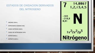 ESTADOS DE OXIDACION DERIVADOS 
DEL NITROGENO 
• AMONIO (NH4-) 
• NITROGENO GASESO (N2) 
• OXIDO NITROSO (N2O) 
• OXIDO DE NITROGENO (NO) 
• NITRITO(NO2-) 
• NITRATO (NO3-) 
 