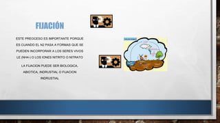 FIJACIÓN 
ESTE PREOCESO ES IMPORTANTE PORQUE 
ES CUANDO EL N2 PASA A FORMAS QUE SE 
PUEDEN INCORPORAR A LOS SERES VIVOS 
LE (NH4-) O LOS IONES NITRITO O NITRATO 
LA FIJACION PUEDE SER BIOLOGICA, 
ABIOTICA, INDRUSTIAL O FIJACION 
INDRUSTIAL 
 