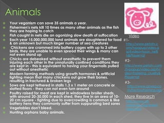 AnimalsYour veganism can save 35 animals a year.Fishermen's nets kill 10 times as many other animals as the fish they are hoping to catchFish caught in nets die an agonizing slow death of suffocation Each year 15,000,000,000 land animals are slaughtered for food & an unknown but much larger number of sea creatures Chickens are crammed into battery cages with up to 3 other birds, they are unable to even spread their wings & many can not even stand up Chicks are debeaked without anesthetic to prevent them injuring each other in the unnaturally confined conditions they are kept in - this is equivalent to having your fingernails pulled out without anesthetic Modern farming methods using growth hormones & artificial lighting mean that many chickens out grow their bones, resulting in fractured & broken legs Sows are kept tethered in stalls 1.3 x 1 meter on concrete or slatted floors - they can not even turn around Poultry raised for meat are kept in windowless broiler sheds, with around 20-30,000 in each shed, they live in an area of 10-20 cm square - fighting due to overcrowding is common & like battery hens they commonly suffer from suppurating bed sores Vegetables don't bleed.Hunting orphans baby animals.Video#1-http://www.petatv.com/tvpopup/video.asp?video=tyson_heflin&Player=qt#2-http://www.petatv.com/tvpopup/video.asp?video=fostering_cruelty&Player=qt#3-http://www.goveg.com/factoryFarming.aspMore Researchhttp://www.all-creatures.org/anex/index.html