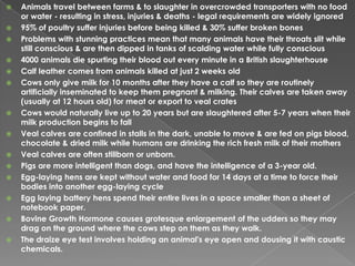 Animals travel between farms & to slaughter in overcrowded transporters with no food or water - resulting in stress, injuries & deaths - legal requirements are widely ignored 95% of poultry suffer injuries before being killed & 30% suffer broken bonesProblems with stunning practices mean that many animals have their throats slit while still conscious & are then dipped in tanks of scalding water while fully conscious 4000 animals die spurting their blood out every minute in a British slaughterhouse Calf leather comes from animals killed at just 2 weeks old Cows only give milk for 10 months after they have a calf so they are routinely artificially inseminated to keep them pregnant & milking. Their calves are taken away (usually at 12 hours old) for meat or export to veal crates Cows would naturally live up to 20 years but are slaughtered after 5-7 years when their milk production begins to fall Veal calves are confined in stalls in the dark, unable to move & are fed on pigs blood, chocolate & dried milk while humans are drinking the rich fresh milk of their mothersVeal calves are often stillborn or unborn.Pigs are more intelligent than dogs, and have the intelligence of a 3-year old.Egg-laying hens are kept without water and food for 14 days at a time to force their bodies into another egg-laying cycleEgg laying battery hens spend their entire lives in a space smaller than a sheet of notebook paper.Bovine Growth Hormone causes grotesque enlargement of the udders so they may drag on the ground where the cows step on them as they walk.The draize eye test involves holding an animal's eye open and dousing it with caustic chemicals.