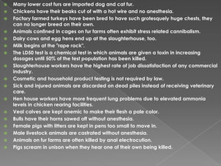 Many lower cost furs are imported dog and cat fur.Chickens have their beaks cut of with a hot wire and no anesthesia.Factory farmed turkeys have been bred to have such grotesquely huge chests, they can no longer breed on their own. Animals confined in cages on fur farms often exhibit stress related cannibalism.Dairy cows and egg hens end up at the slaughterhouse, too. Milk begins at the "rape rack".The LD50 test is a chemical test in which animals are given a toxin in increasing dosages until 50% of the test population has been killed.Slaughterhouse workers have the highest rate of job dissatisfaction of any commercial industry.Cosmetic and household product testing is not required by law.Sick and injured animals are discarded on dead piles instead of receiving veterinary care.Hen house workers have more frequent lung problems due to elevated ammonia levels in chicken rearing facilities.Veal calves are kept anemic to make their flesh a pale color.Bulls have their horns sawed off without anesthesia.Female pigs with litters are kept in pens too small to move in.Male livestock animals are castrated without anesthesia.Animals on fur farms are often killed by anal electrocution.Pigs scream in unison when they hear one of their own being killed.