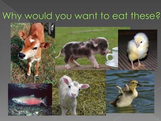 Why would you want to eat these?