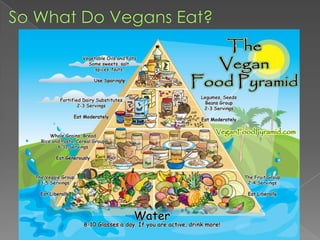 So What Do Vegans Eat?