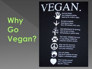 Why Go Vegan?