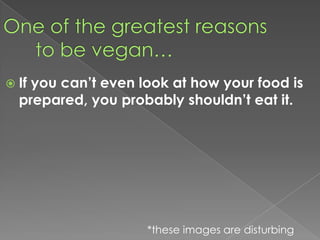 One of the greatest reasons to be vegan…If you can’t even look at how your food is prepared, you probably shouldn’t eat it.*these images are disturbing