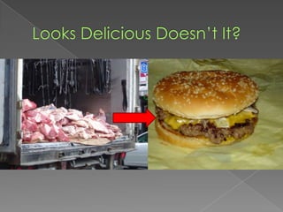 Looks Delicious Doesn’t It?