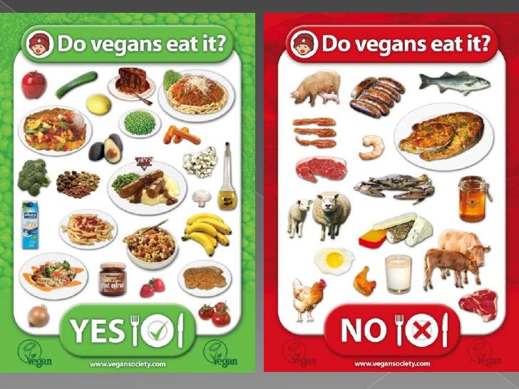 what vegan diet means