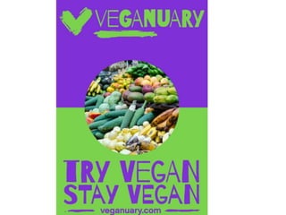 Vegan booklet