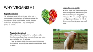 WHY VEGANISM?
Vegan for animals
All animals have the right to life and to live it in a
dignified way. Animal cruelty in industries such as the
production of meat, cosmetics and fashion is found
everywhere. Being vegan is a way to change and
protect all animals.
Vegan for your health
By being vegan you don’t only help the
planet, also yourself; a balanced vegan
diet can increase your energy level,
make your skin look younger, improve
your digestion, and reduce the risk of
developing colorectal cancer and much
more
Vegan for the planet
The production of meat and its by-products weighs
heavily on our planet. Huge amounts of water and grains
are required to feed the animals.
These factors are major contributors to environmental
deforestation and destruction of natural habitats and waste
of water.
 