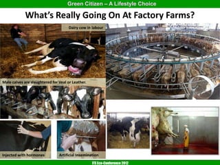 Green Citizen – A Lifestyle Choice

             What’s Really Going On At Factory Farms?
                                     Dairy cow in labour




Male calves are slaughtered for Veal or Leather.




Injected with hormones          Artificial Insemination
                                                   ITE Eco-Conference 2012
 