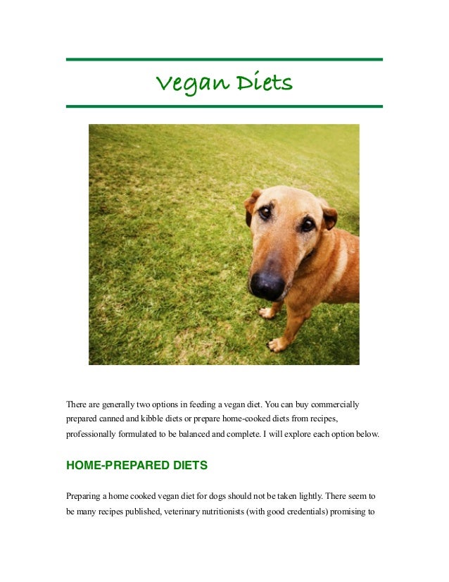 vegan dogs vegan dogs vegan dogs vegan dogs
