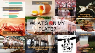 Weapon of Murder
Hen’s PERIOD
Born to be killed
Destroying
MOTHERHOOD
WHAT’S ON MY
PLATE?
DEAD GOAT
HOUSE OF SLAUGHTER Swollen & infected udders of a
FEMALE COW
Lymph & Pus
BLOOD,
MUSCLES, VEINS
& ROTTING FLESH
CALF GROWTH
FLUID
 