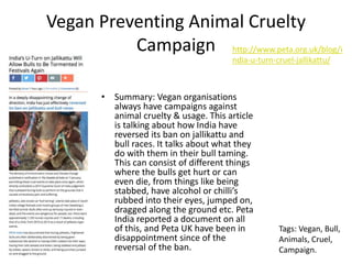 Vegan Preventing Animal Cruelty
Campaign
• Summary: Vegan organisations
always have campaigns against
animal cruelty & usage. This article
is talking about how India have
reversed its ban on jallikattu and
bull races. It talks about what they
do with them in their bull taming.
This can consist of different things
where the bulls get hurt or can
even die, from things like being
stabbed, have alcohol or chilli’s
rubbed into their eyes, jumped on,
dragged along the ground etc. Peta
India reported a document on all
of this, and Peta UK have been in
disappointment since of the
reversal of the ban.
http://www.peta.org.uk/blog/i
ndia-u-turn-cruel-jallikattu/
Tags: Vegan, Bull,
Animals, Cruel,
Campaign.
 