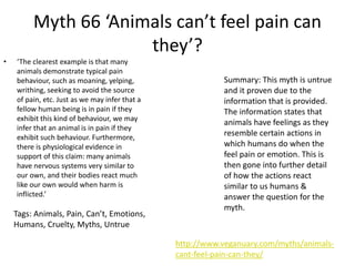 Myth 66 ‘Animals can’t feel pain can
they’?
• ‘The clearest example is that many
animals demonstrate typical pain
behaviour, such as moaning, yelping,
writhing, seeking to avoid the source
of pain, etc. Just as we may infer that a
fellow human being is in pain if they
exhibit this kind of behaviour, we may
infer that an animal is in pain if they
exhibit such behaviour. Furthermore,
there is physiological evidence in
support of this claim: many animals
have nervous systems very similar to
our own, and their bodies react much
like our own would when harm is
inflicted.’
Summary: This myth is untrue
and it proven due to the
information that is provided.
The information states that
animals have feelings as they
resemble certain actions in
which humans do when the
feel pain or emotion. This is
then gone into further detail
of how the actions react
similar to us humans &
answer the question for the
myth.
http://www.veganuary.com/myths/animals-
cant-feel-pain-can-they/
Tags: Animals, Pain, Can’t, Emotions,
Humans, Cruelty, Myths, Untrue
 