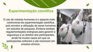 Experimentação científica
O uso de cobaias humanas é o aspecto mais
controverso da experimentação científica,
pois envolve a utilização de seres humanos
em estudos de pesquisa. Embora existam
regulamentações enérgicas para garantir a
segurança e os direitos dos participantes,
ainda há muitos casos em que os
participantes sofreram e até morreram em
ensaios clínicos.
 